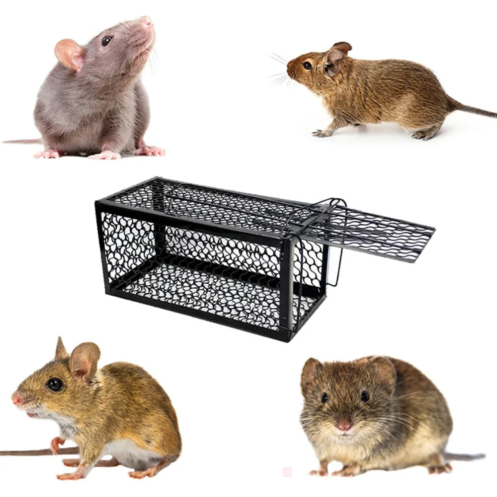 Nasse pour rats et souris
