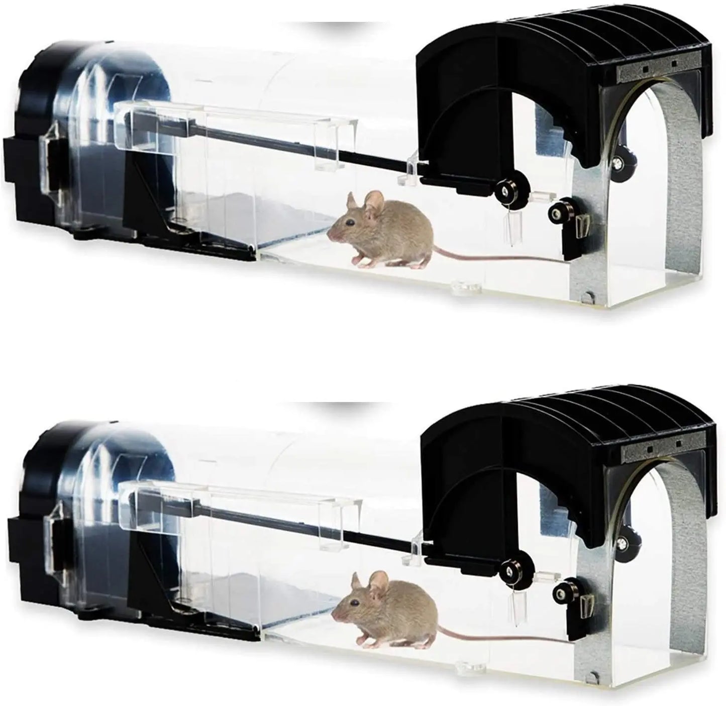 Nasse à souris
