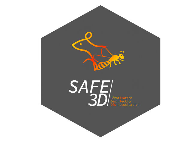 SAFE3D