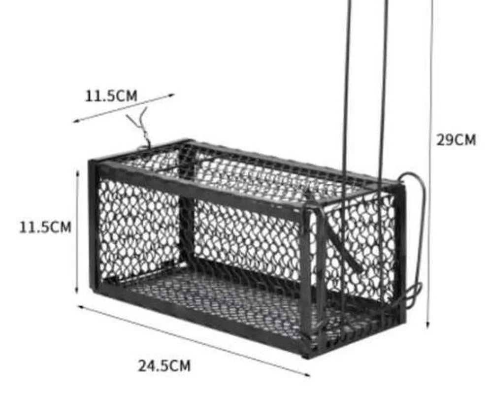 image_0
