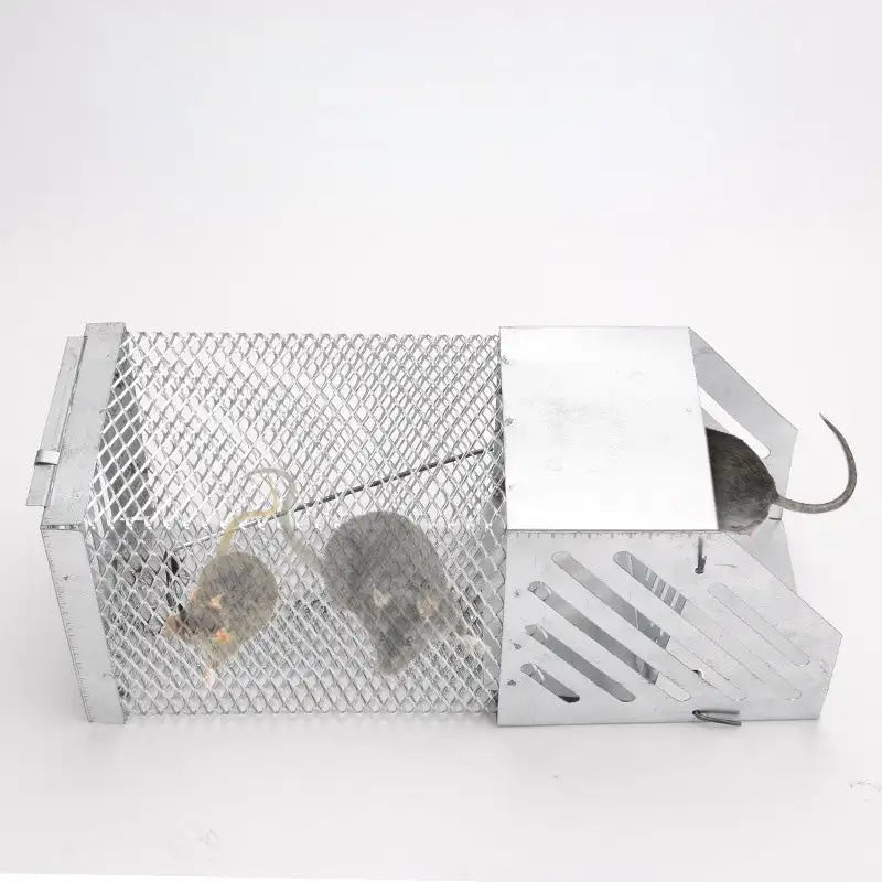 Nasse anti rats, souris