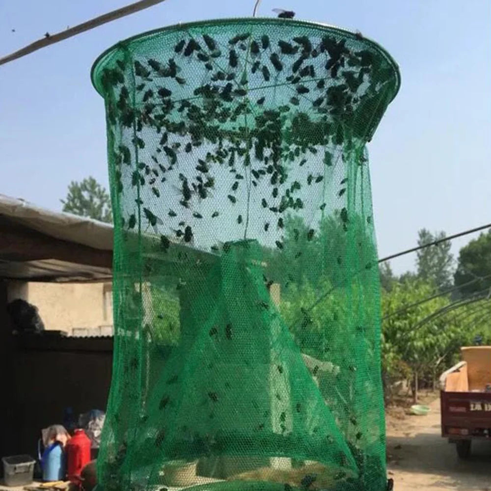 Piéges anti-insectes