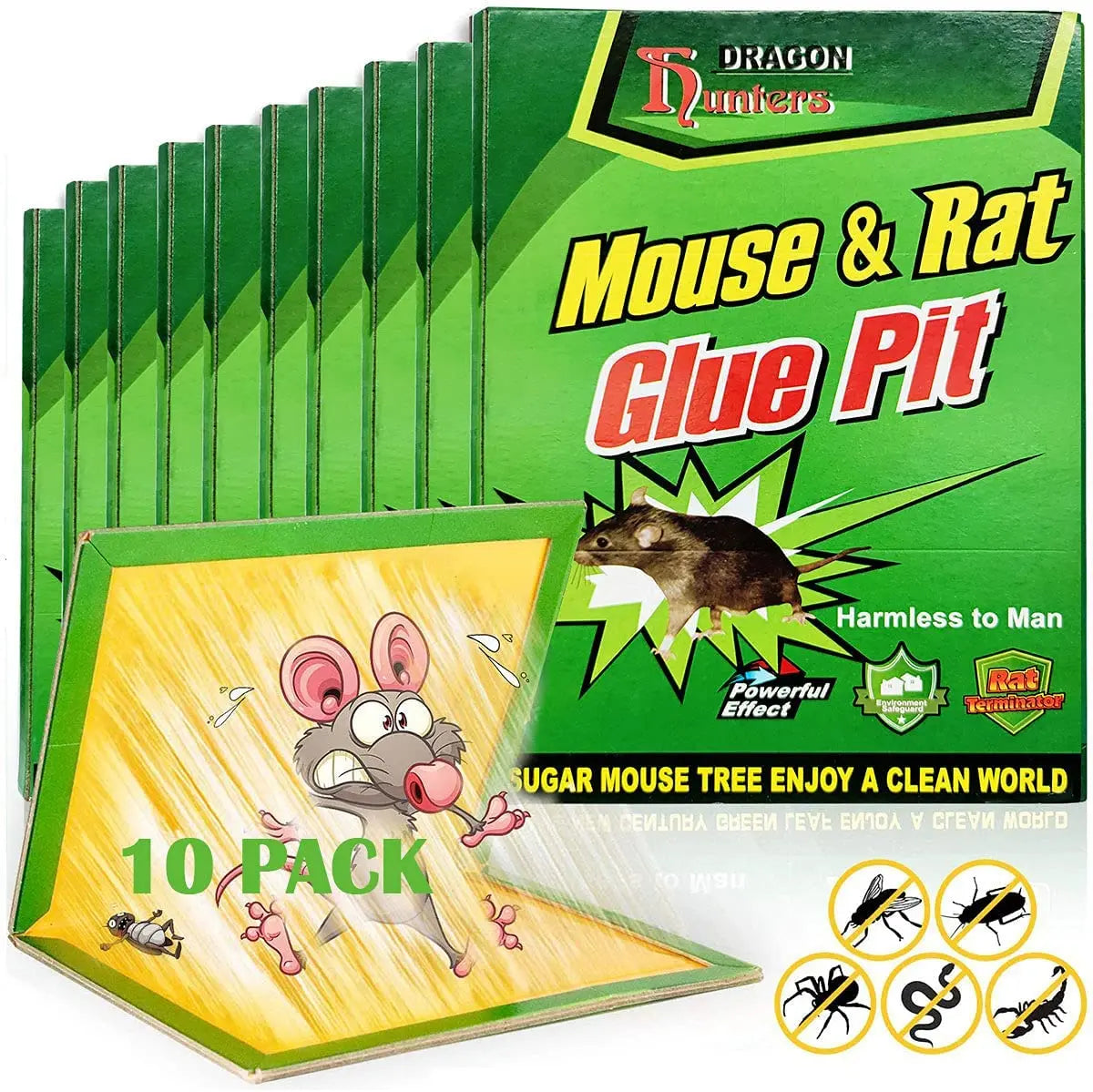Plaques de glu anti rongeurs