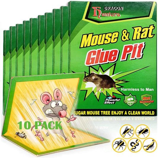 Plaques de glu anti rongeurs