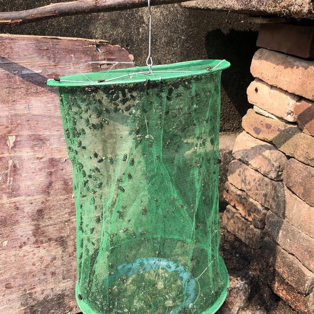 Piéges anti-insectes